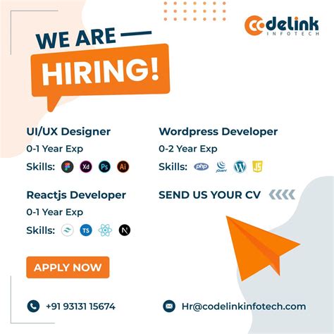codelink infotech|Wordpress .